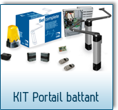 CAME kit portail battant